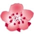 China Airlines Logo
