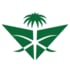 Saudia Logo