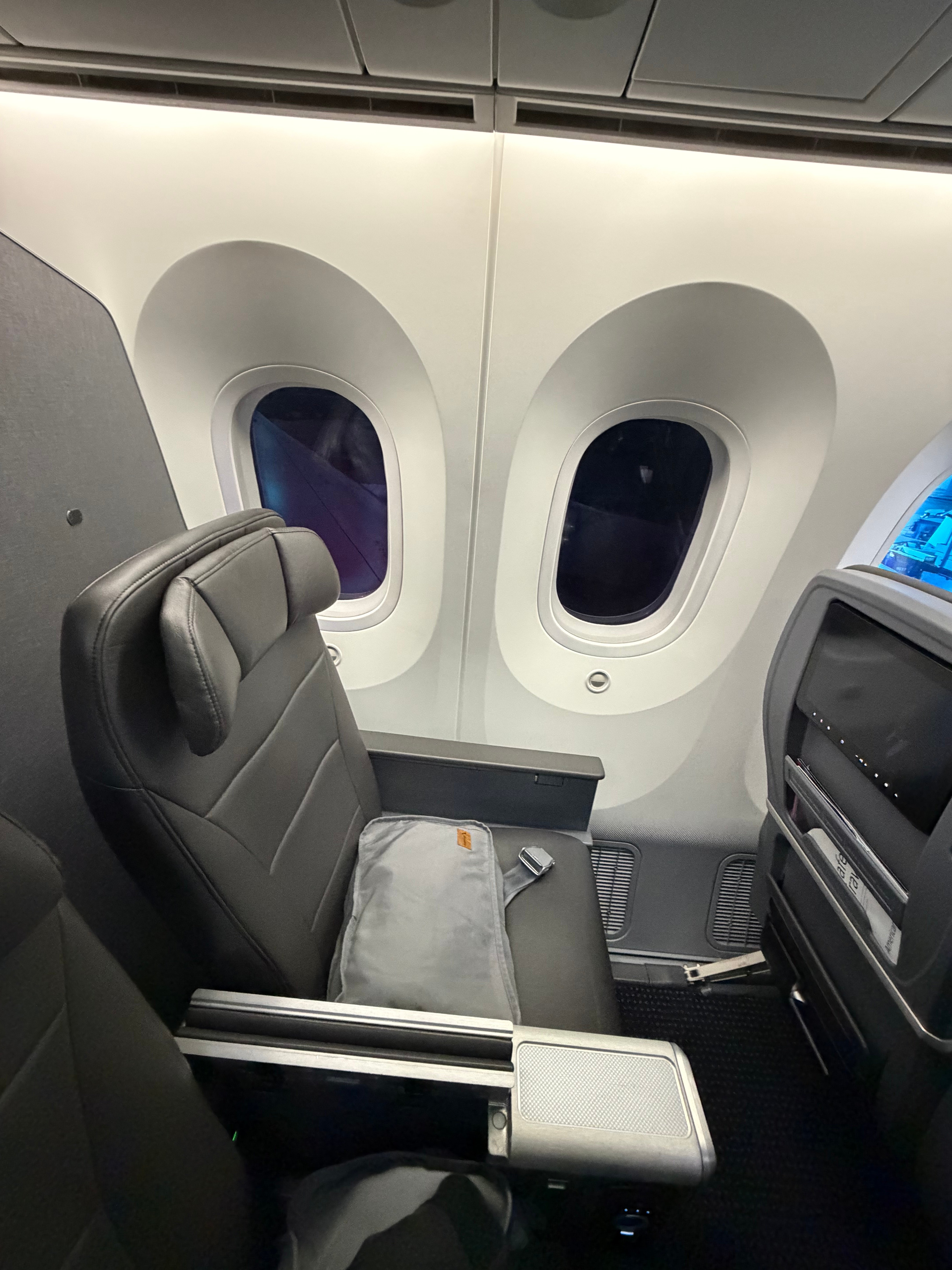 Full view of two American 787-8 Main Cabin Extra seats beside the window.