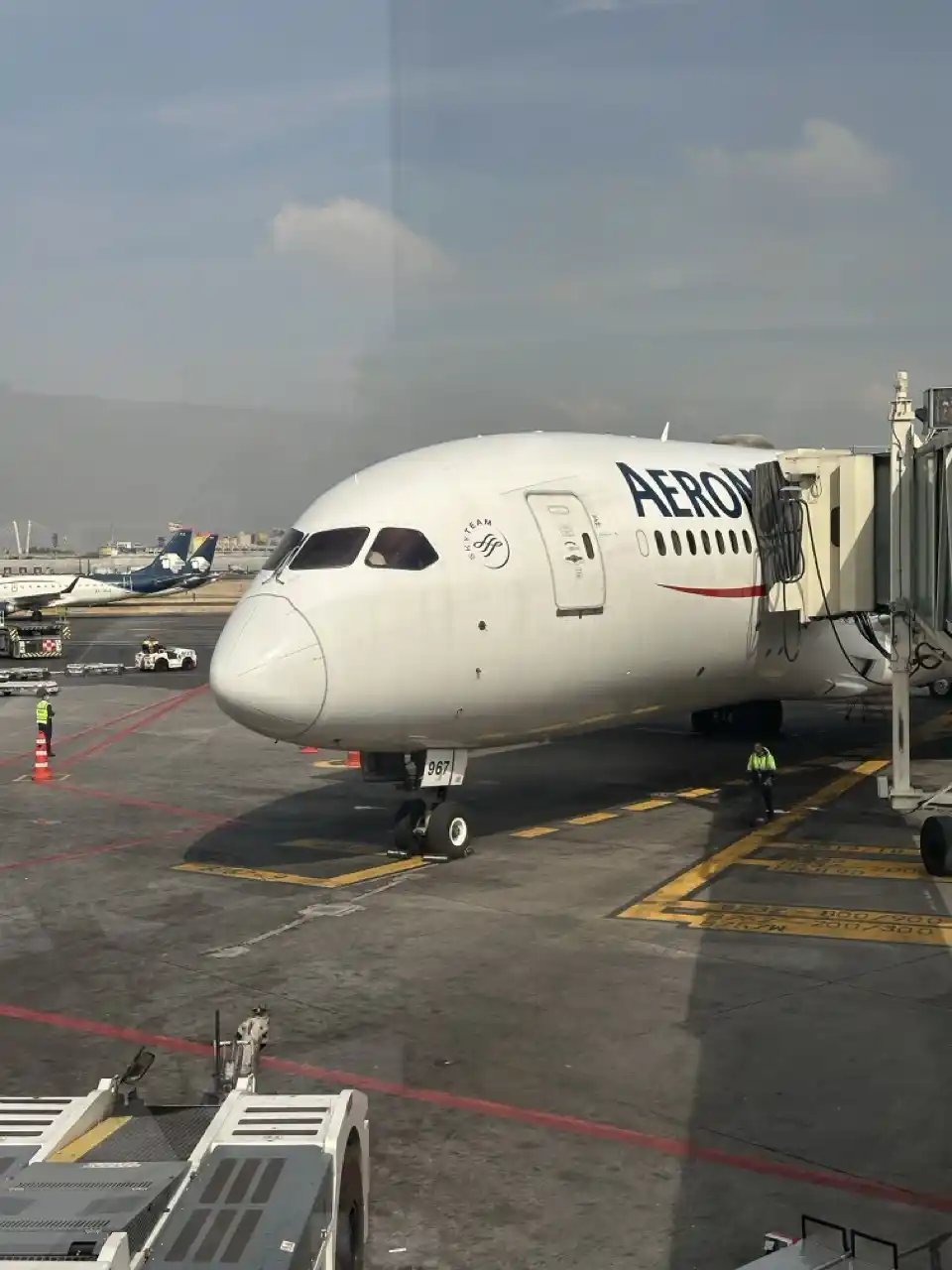 Llegada en Clase Ejecutiva Aeroméxico 787-8