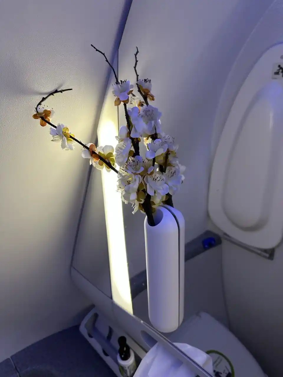 Baños en Clase Ejecutiva Aeroméxico 787-8