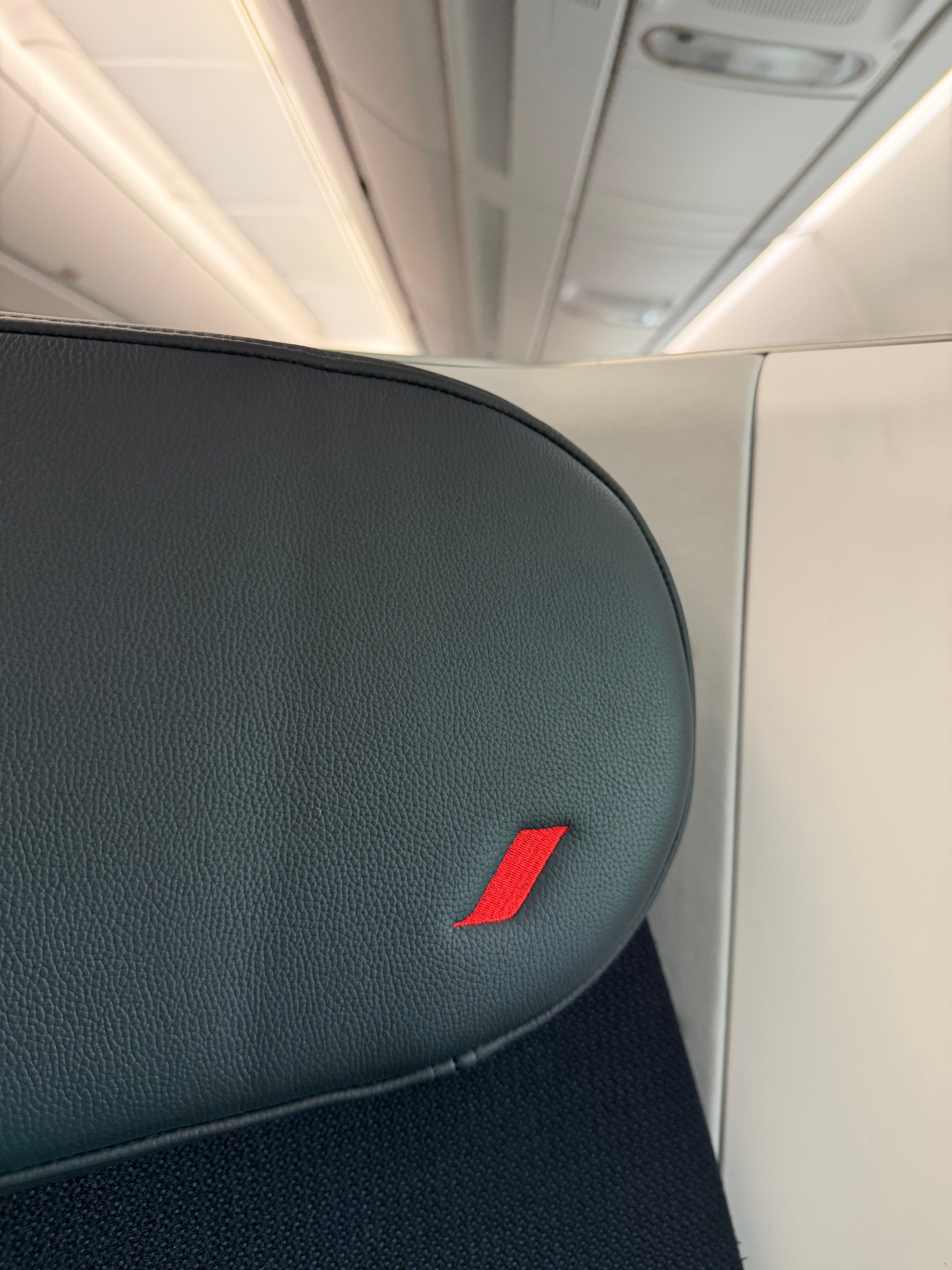 Close view of the Business Class seat headrest.