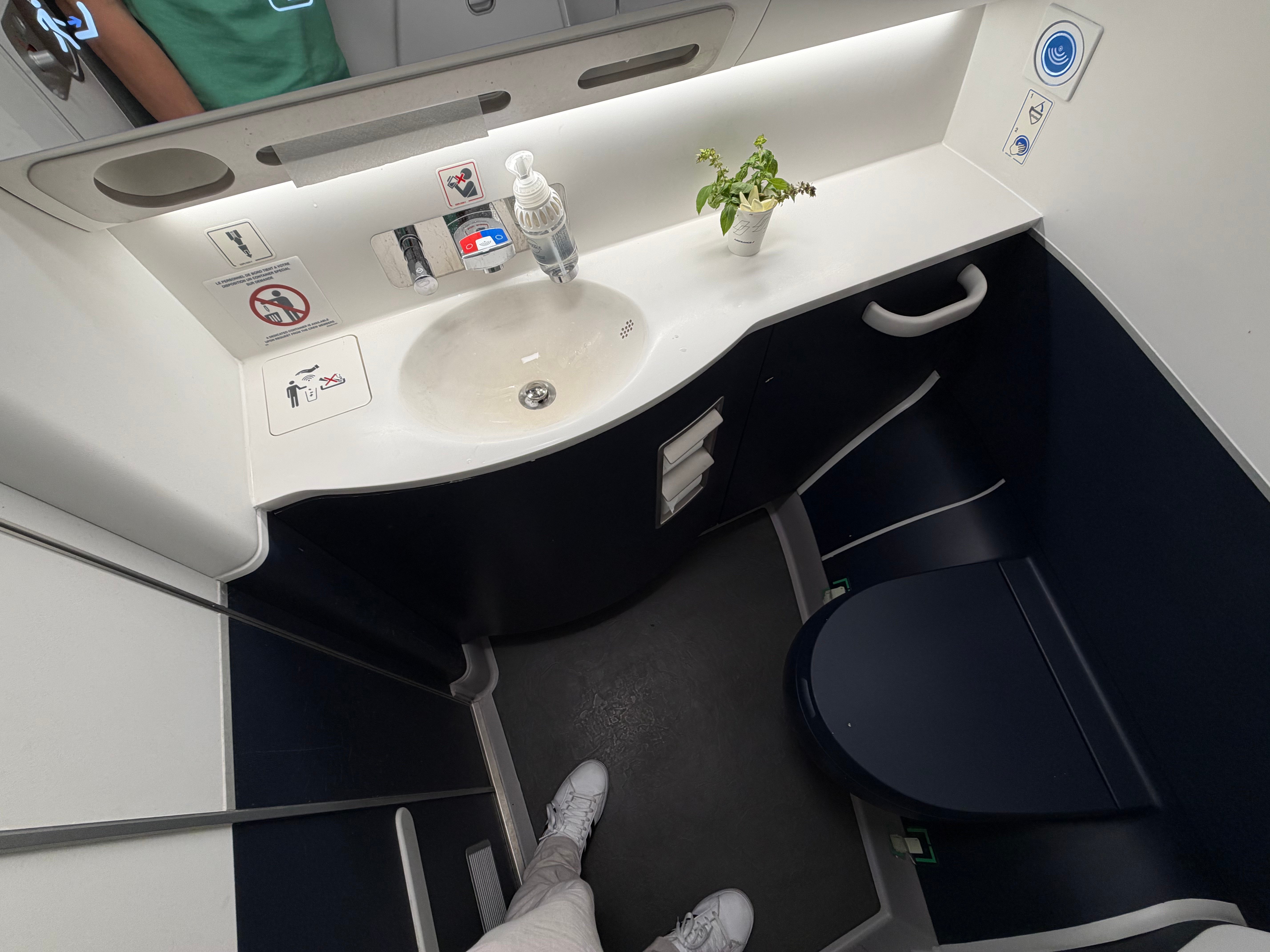 Interior of the Air France A350 lavatory.