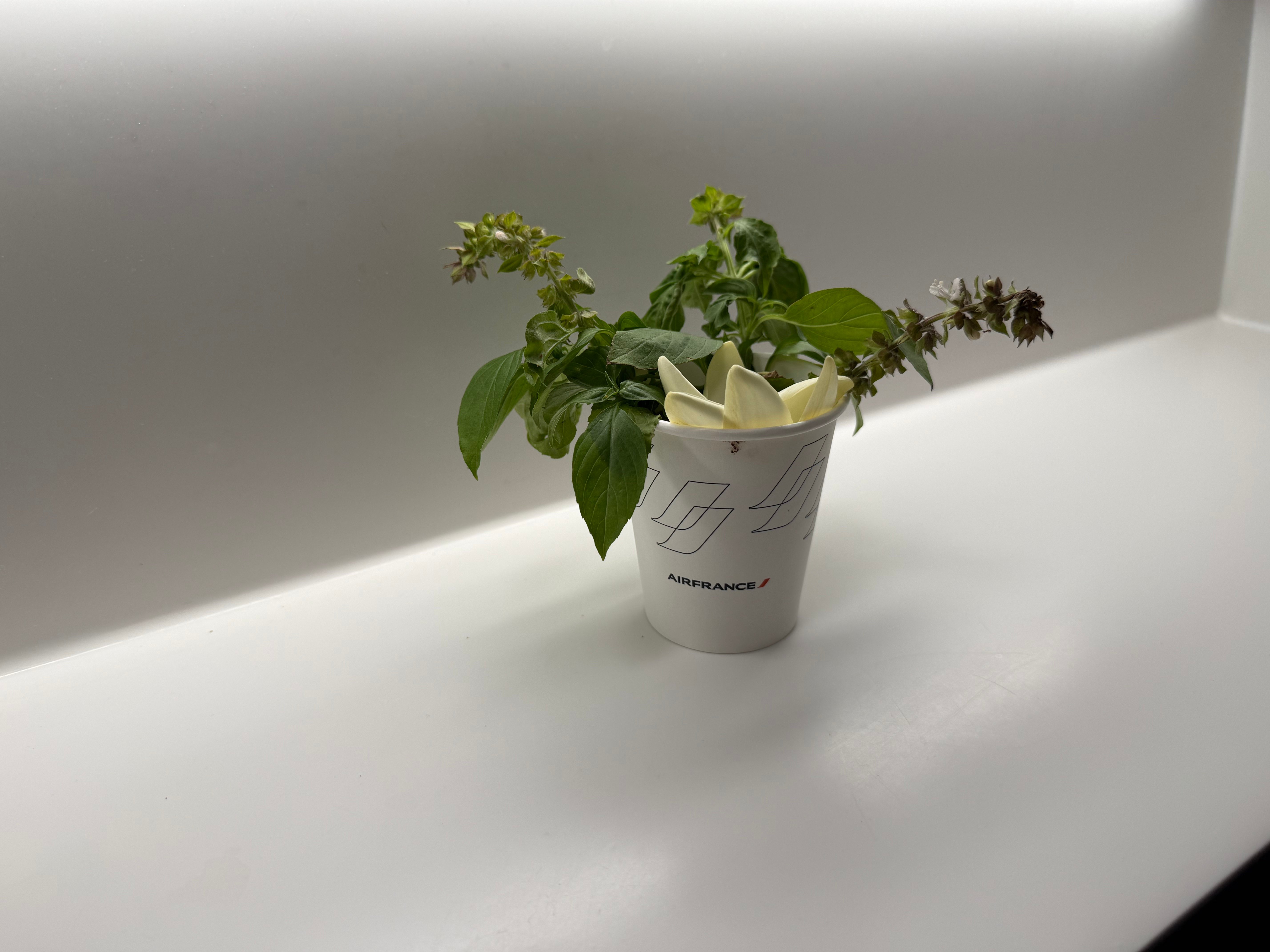 Small plant and flower beside the lavatory sink.