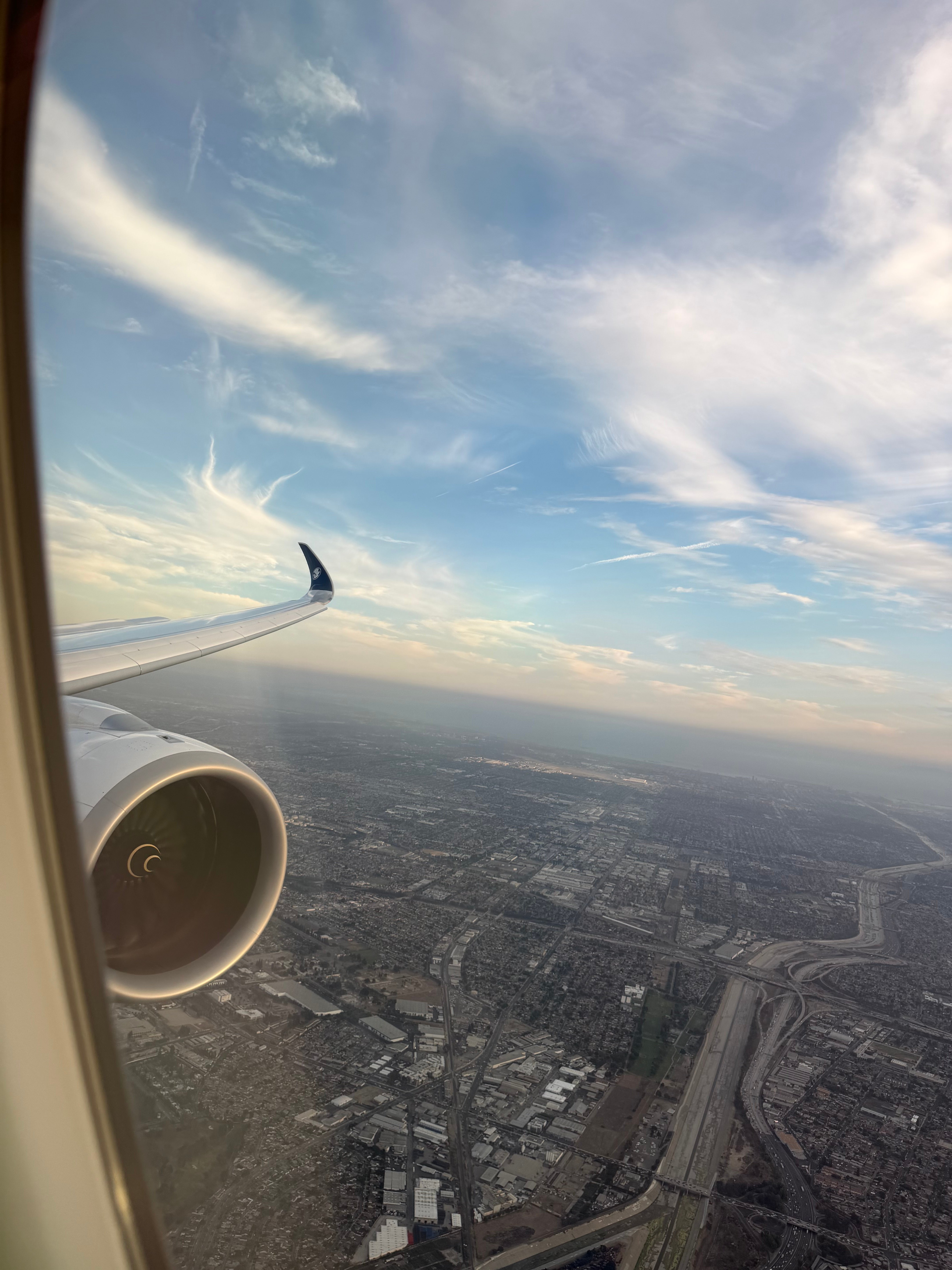 View of Los Angeles during the approach.