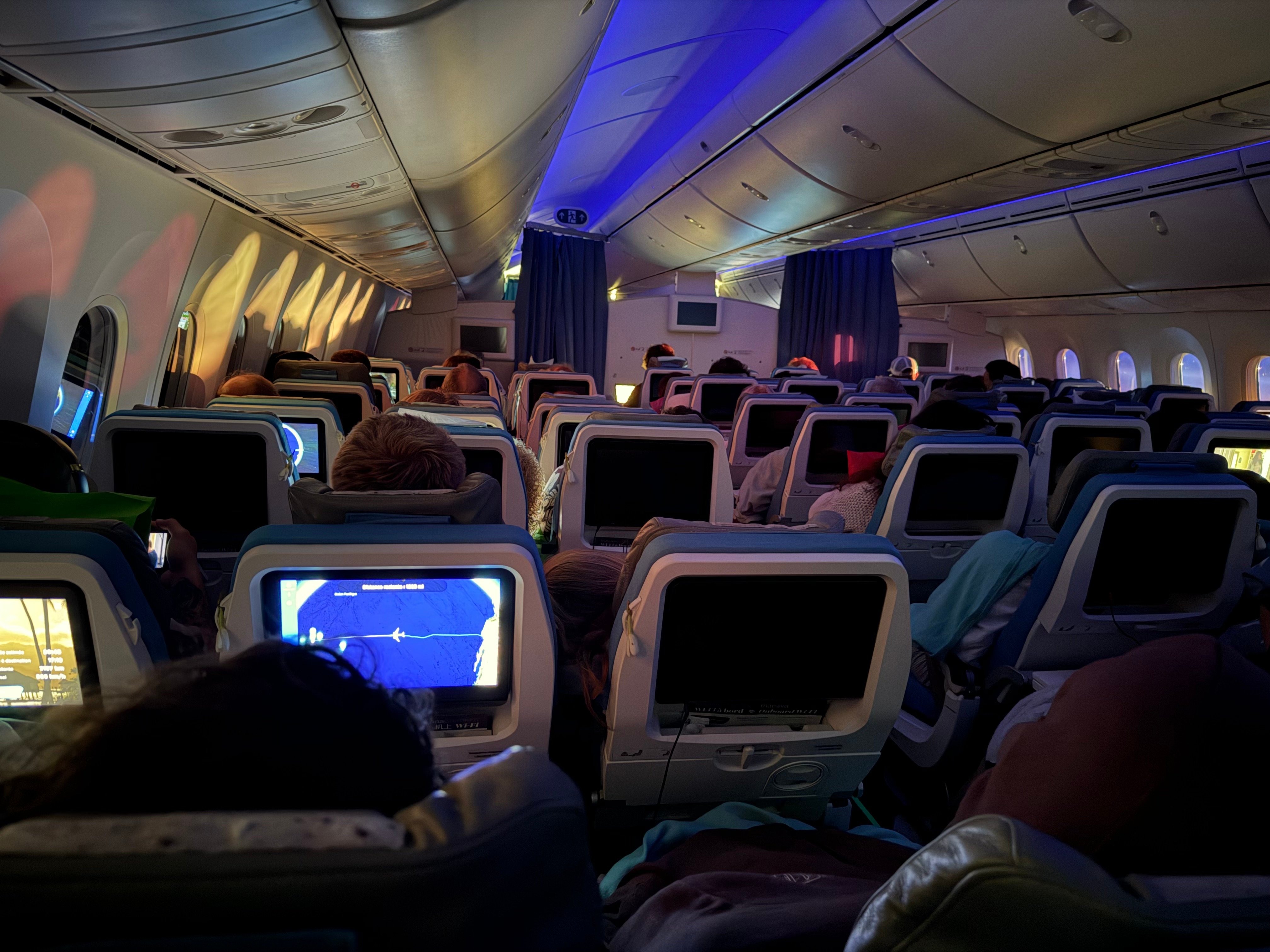 Moana Economy cabin with blue and purple mood lighting.