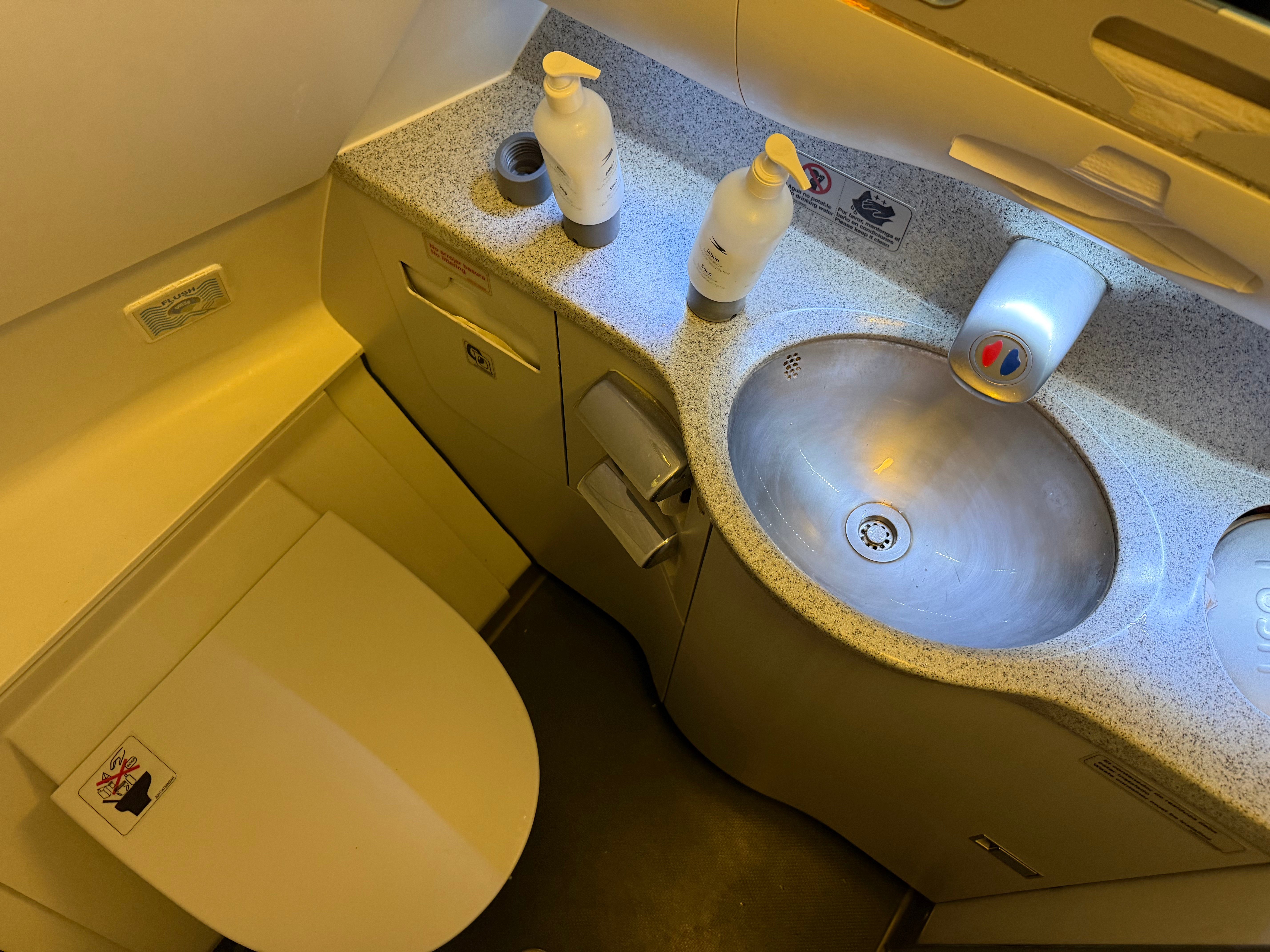 Lavatory in the Aerolíneas Argentinas Airbus A330 Business Class cabin.
