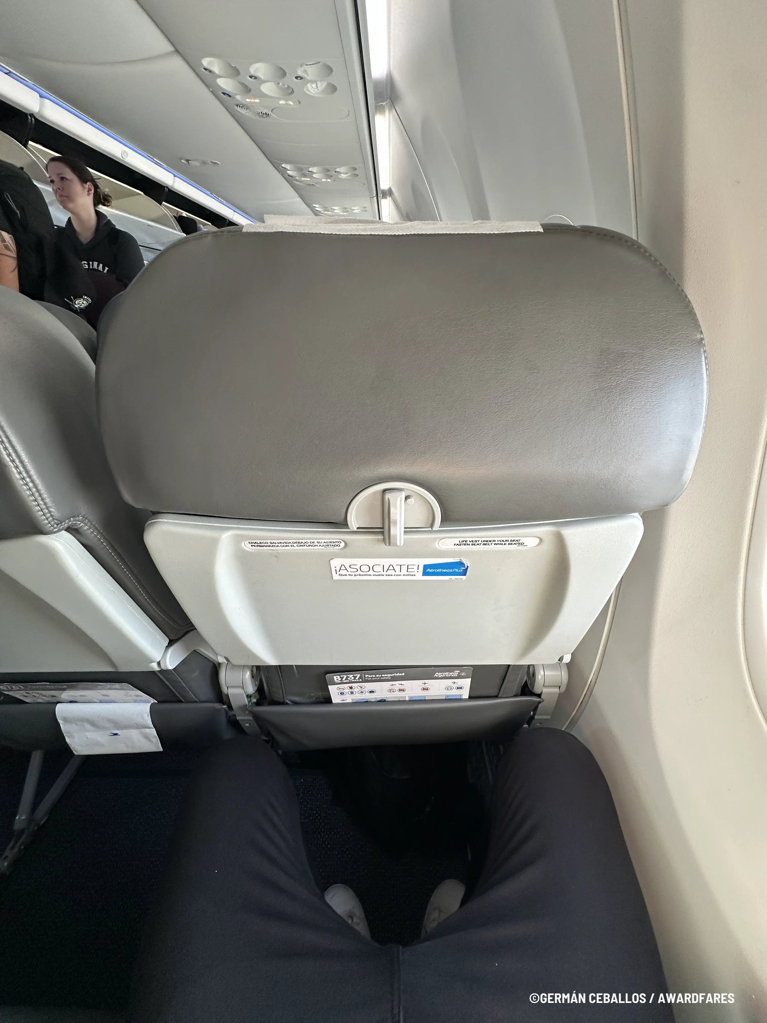 Aerolíneas Argentinas 737 MAX 8 Clase Económica de Buenos Aires a Ushuaia (2025)