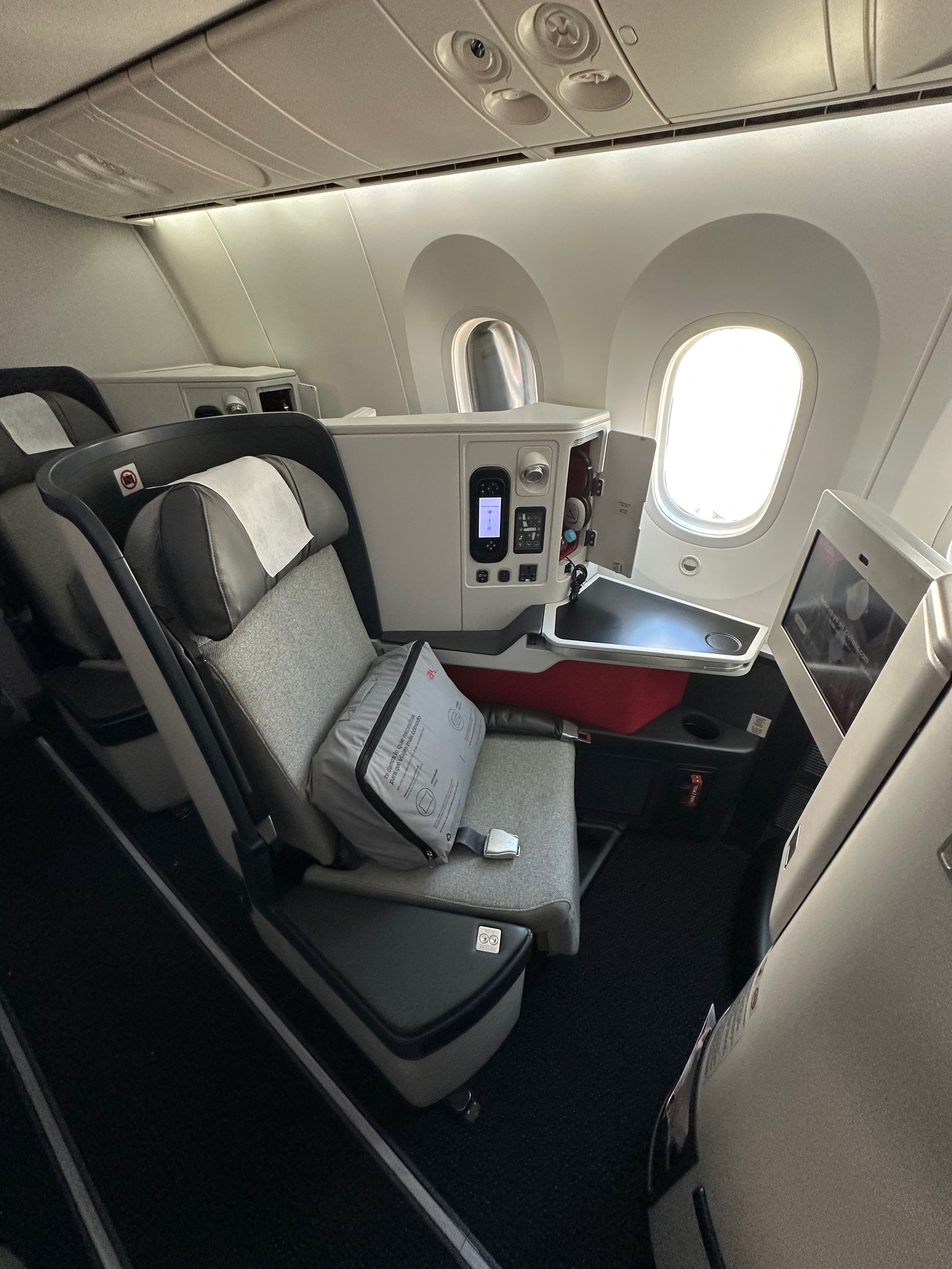 Portrait view of the previous Avianca 787 Business Class window seat.