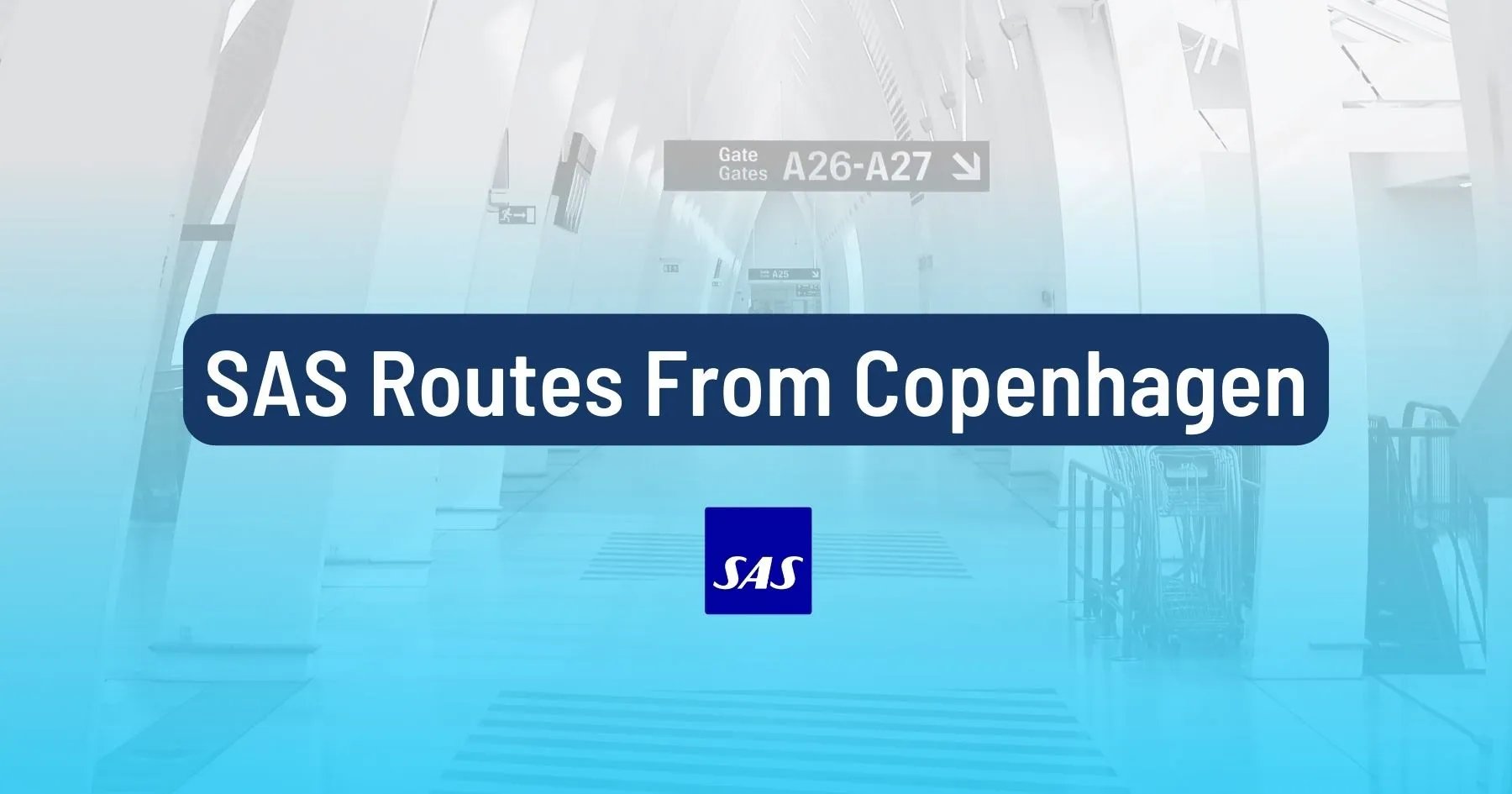 Book These Non-stop Long-haul SAS Routes from Copenhagen Using EuroBonus Points (2024)