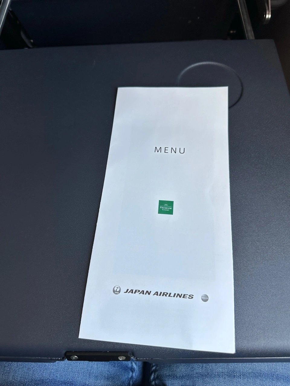 JAL Flagship A350-1000 Premium Economy Review