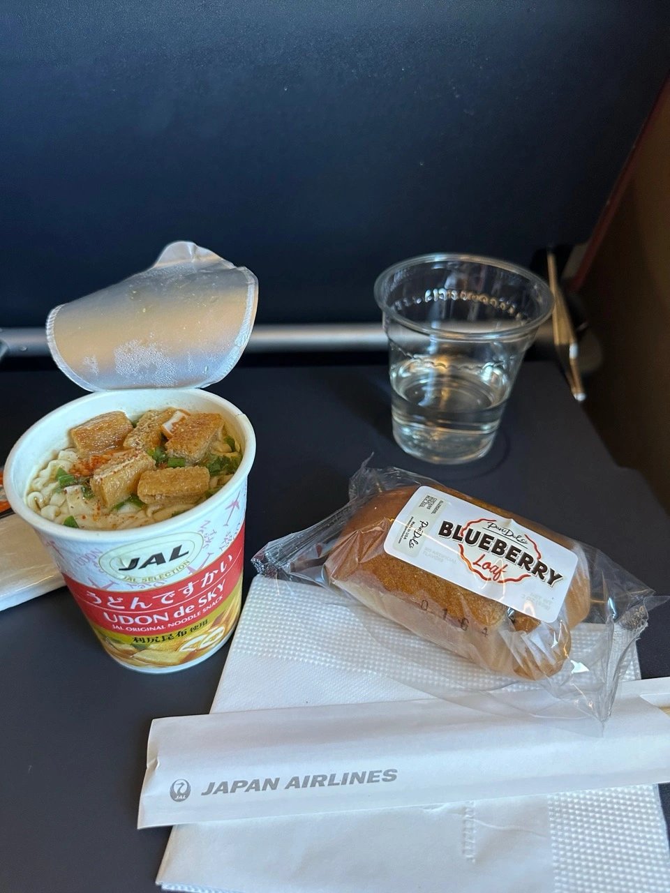 JAL Flagship A350-1000 Premium Economy Review