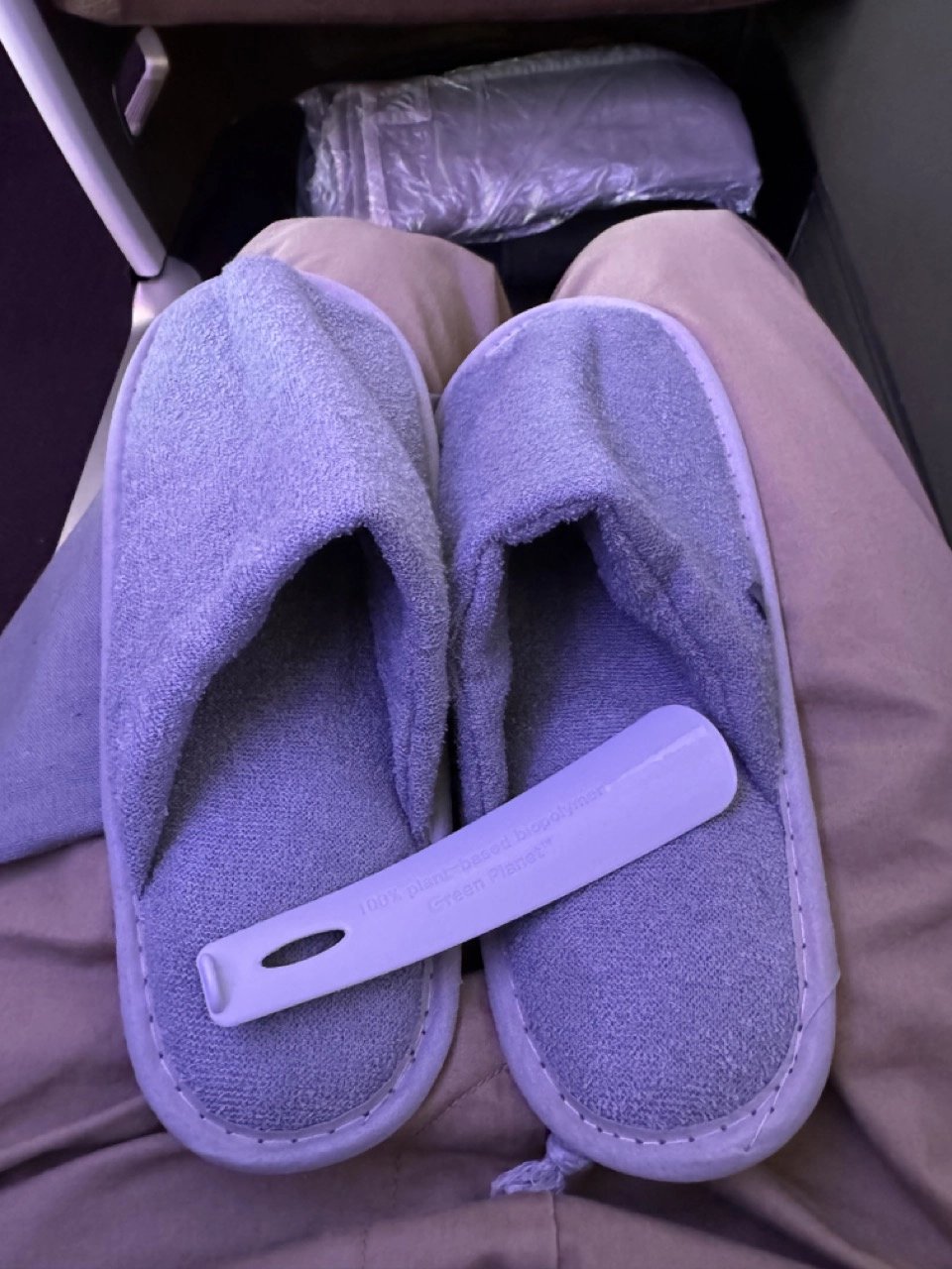 JAL First Class slippers and shoehorn