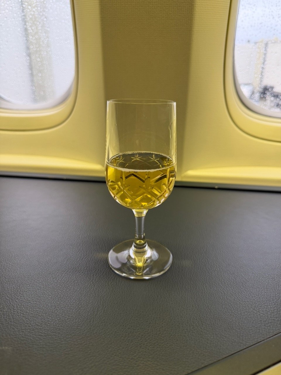 KLM AMS EZE white wine on the KLM Amsterdam to Buenos Aires review.