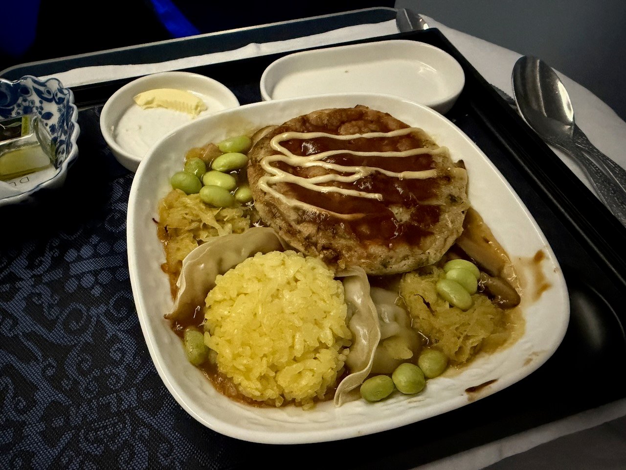 KLM AMS EZE main course on the KLM Amsterdam to Buenos Aires review.