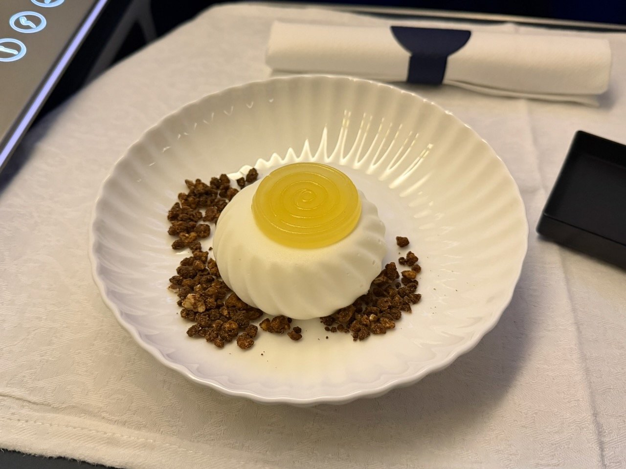 KLM AMS EZE dessert close up on the KLM Amsterdam to Buenos Aires review.