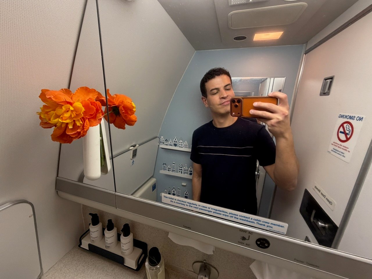 KLM AMS EZE lavatory mirror on the KLM Amsterdam to Buenos Aires review.
