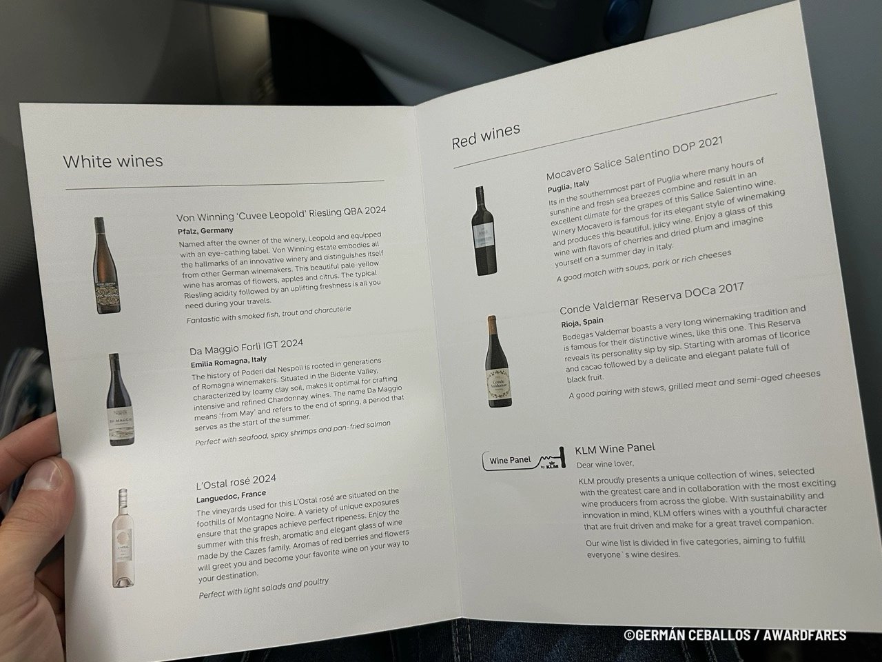 KLM 787-9 World Business Class: Buenos Aires to Santiago.