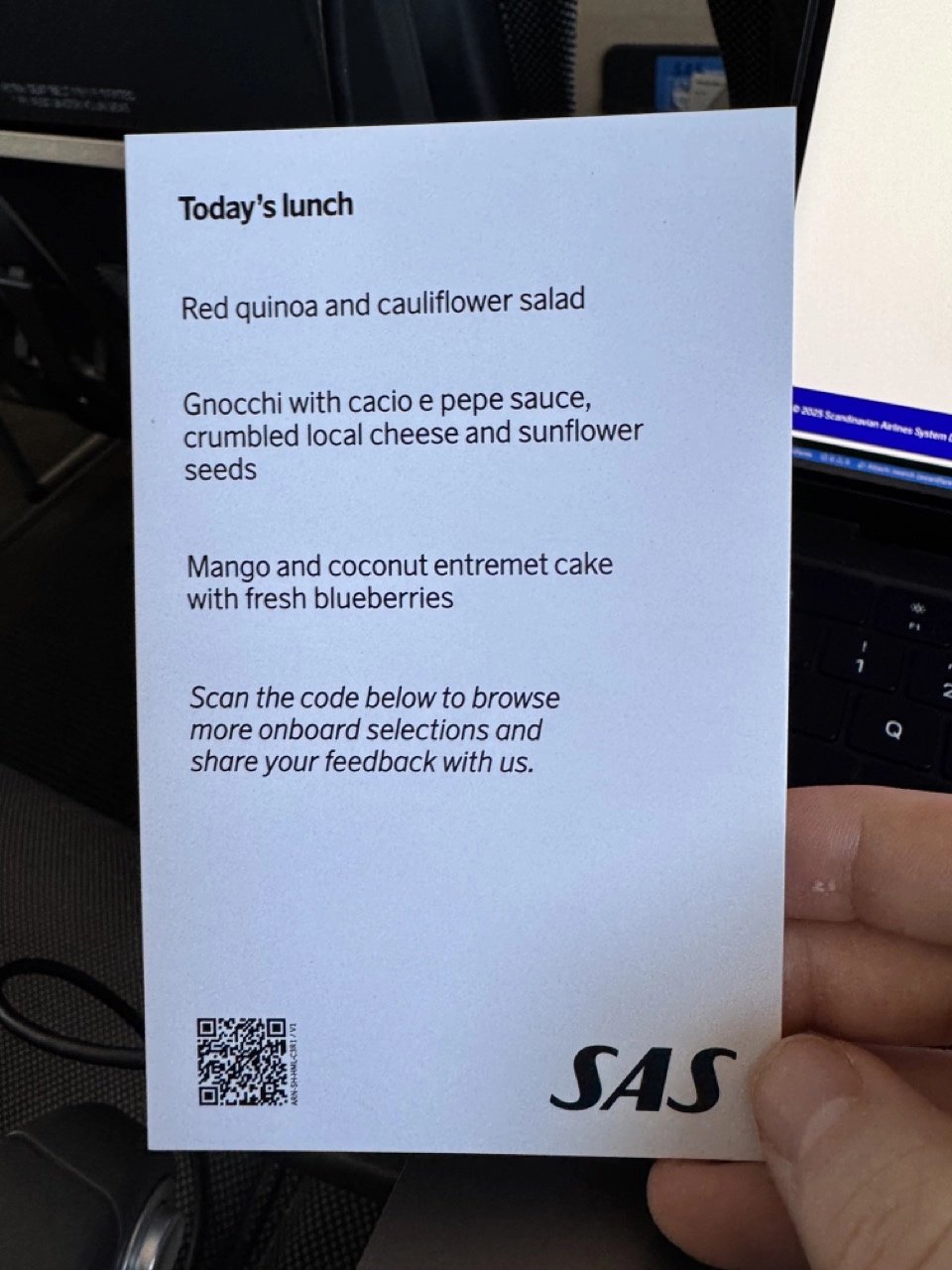 The paper menu in SAS European Business Class.